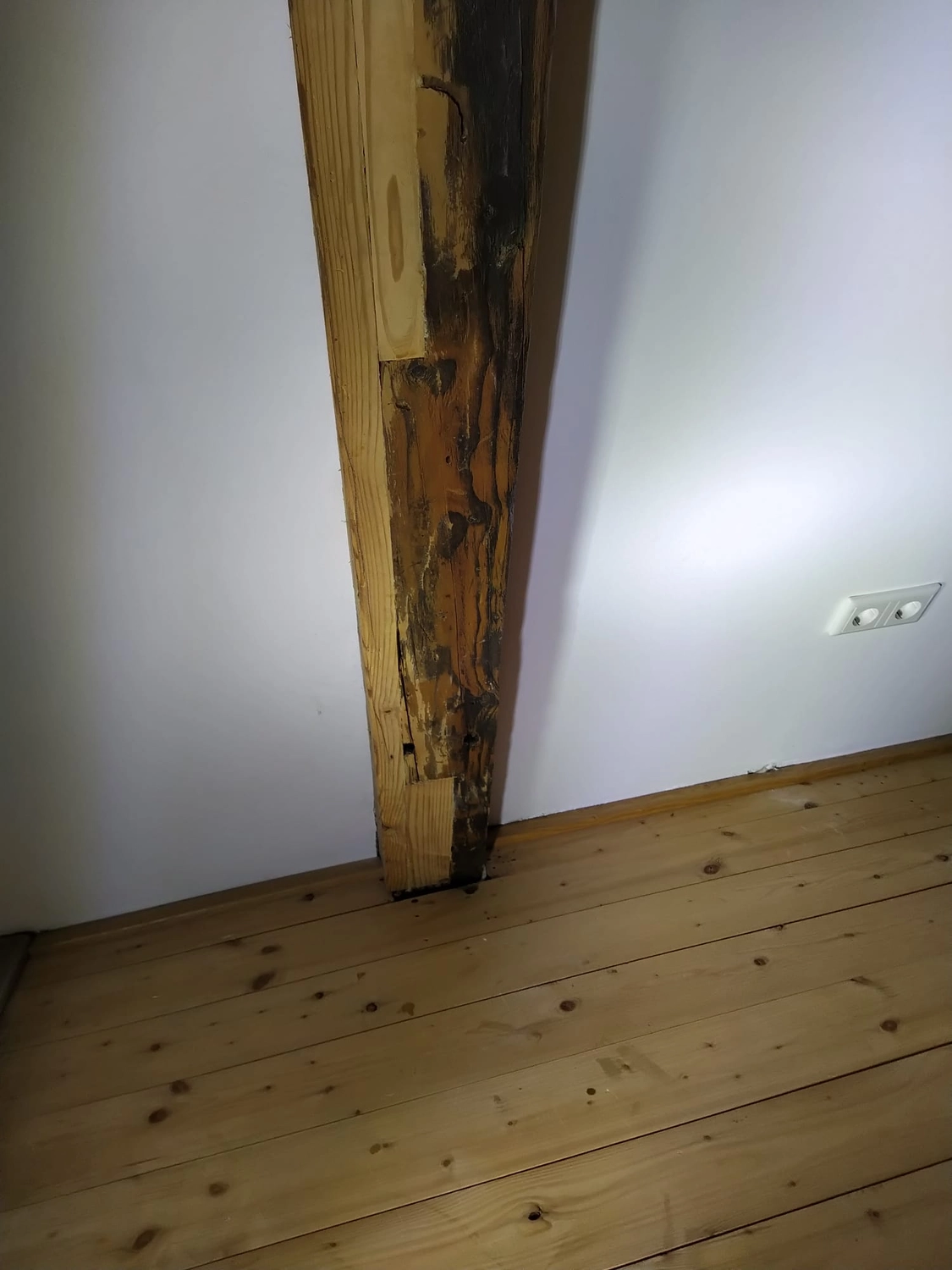 Wetter-Gebäudeschutz, Terrassenbau, Sanierungen, Außenanlagen, Gartengestaltung, Rückbau & Neugestaltung, Zaunbau Lärche, Einbauschrank, Hochbett, Handlauf, Dachsanierung, Baumspielhaus, Sebastian Kirsch, Handwerk