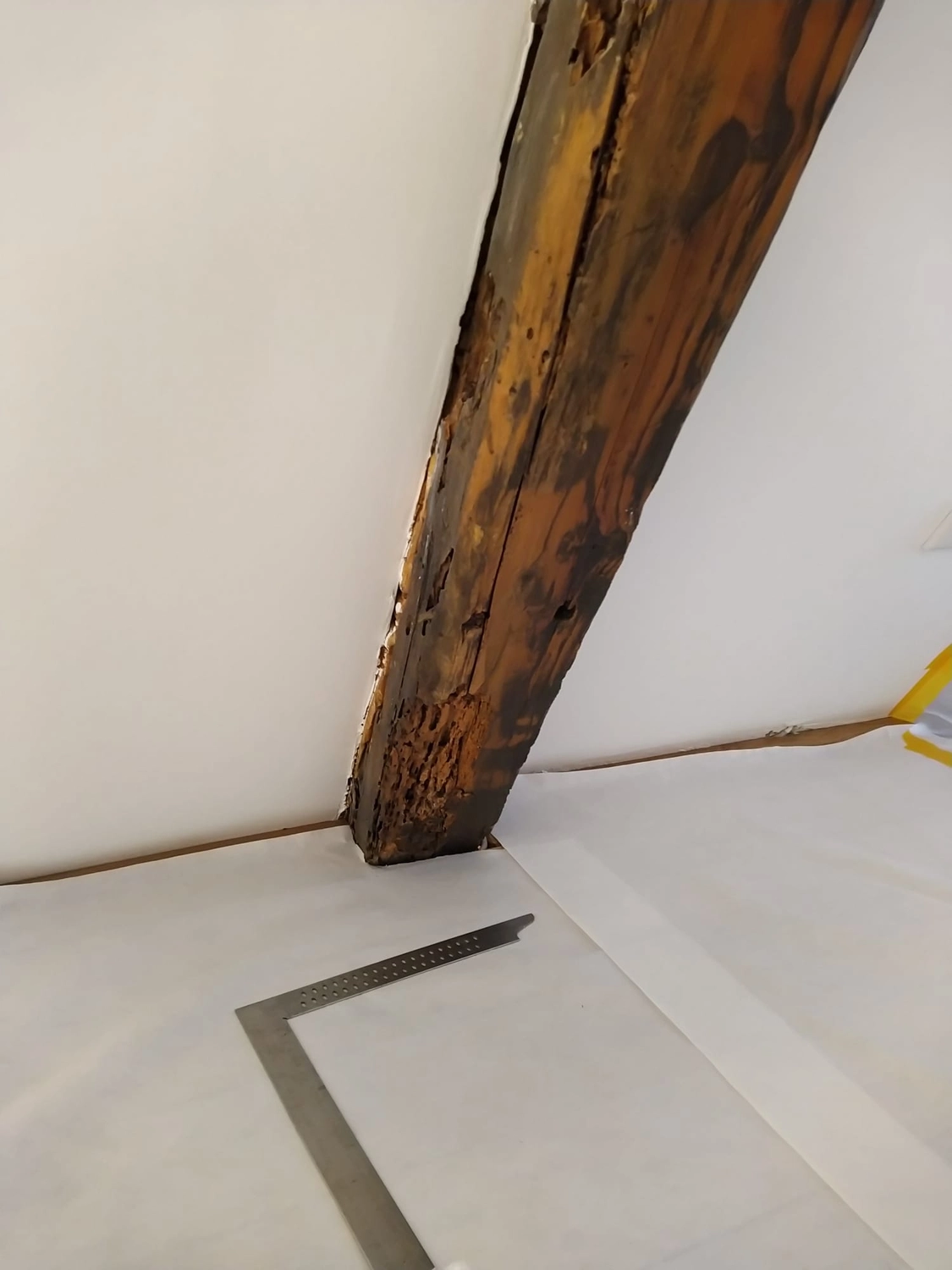 Wetter-Gebäudeschutz, Terrassenbau, Sanierungen, Außenanlagen, Gartengestaltung, Rückbau & Neugestaltung, Zaunbau Lärche, Einbauschrank, Hochbett, Handlauf, Dachsanierung, Baumspielhaus, Sebastian Kirsch, Handwerk