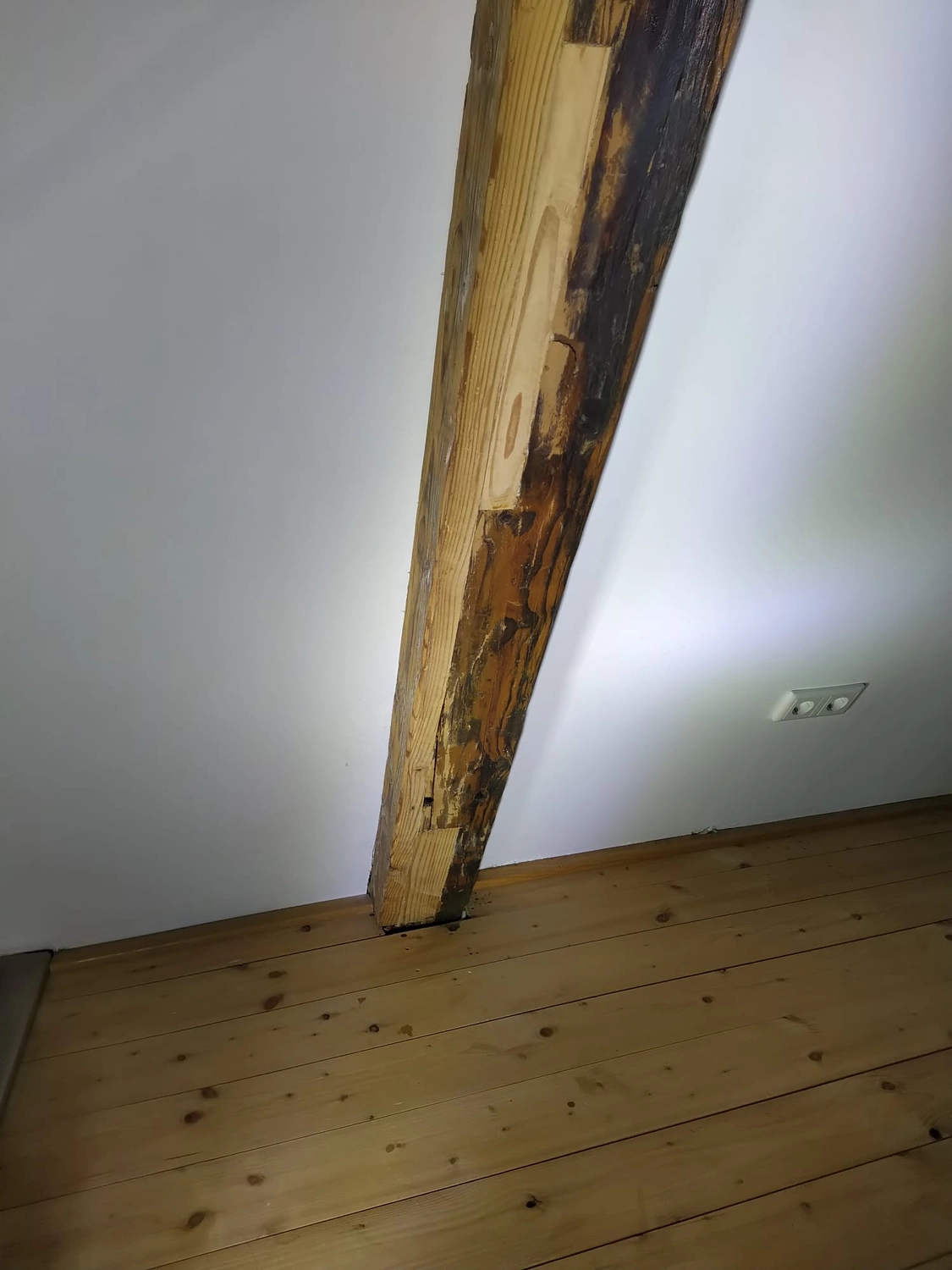 Wetter-Gebäudeschutz, Terrassenbau, Sanierungen, Außenanlagen, Gartengestaltung, Rückbau & Neugestaltung, Zaunbau Lärche, Einbauschrank, Hochbett, Handlauf, Dachsanierung, Baumspielhaus, Sebastian Kirsch, Handwerk