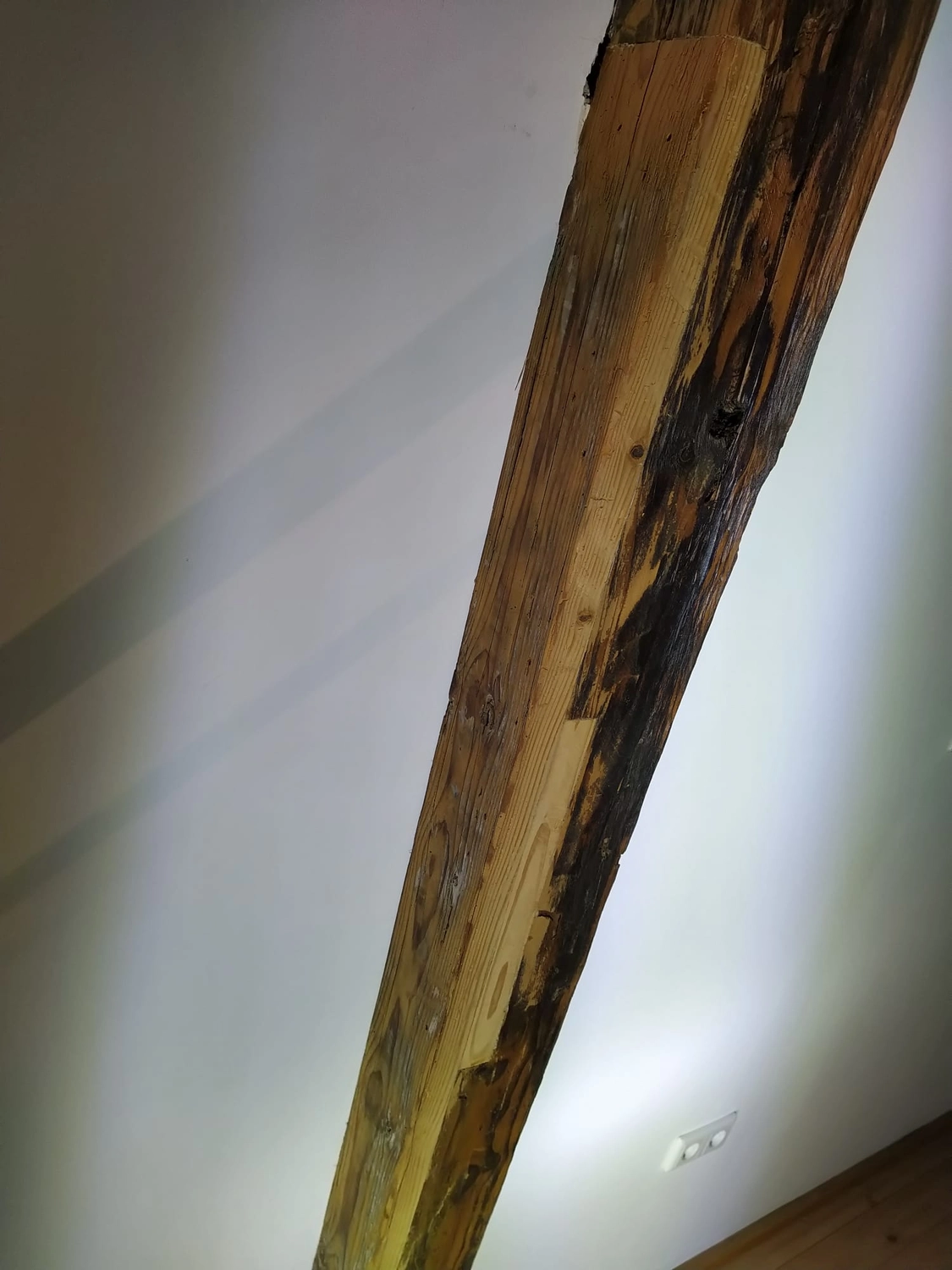 Wetter-Gebäudeschutz, Terrassenbau, Sanierungen, Außenanlagen, Gartengestaltung, Rückbau & Neugestaltung, Zaunbau Lärche, Einbauschrank, Hochbett, Handlauf, Dachsanierung, Baumspielhaus, Sebastian Kirsch, Handwerk