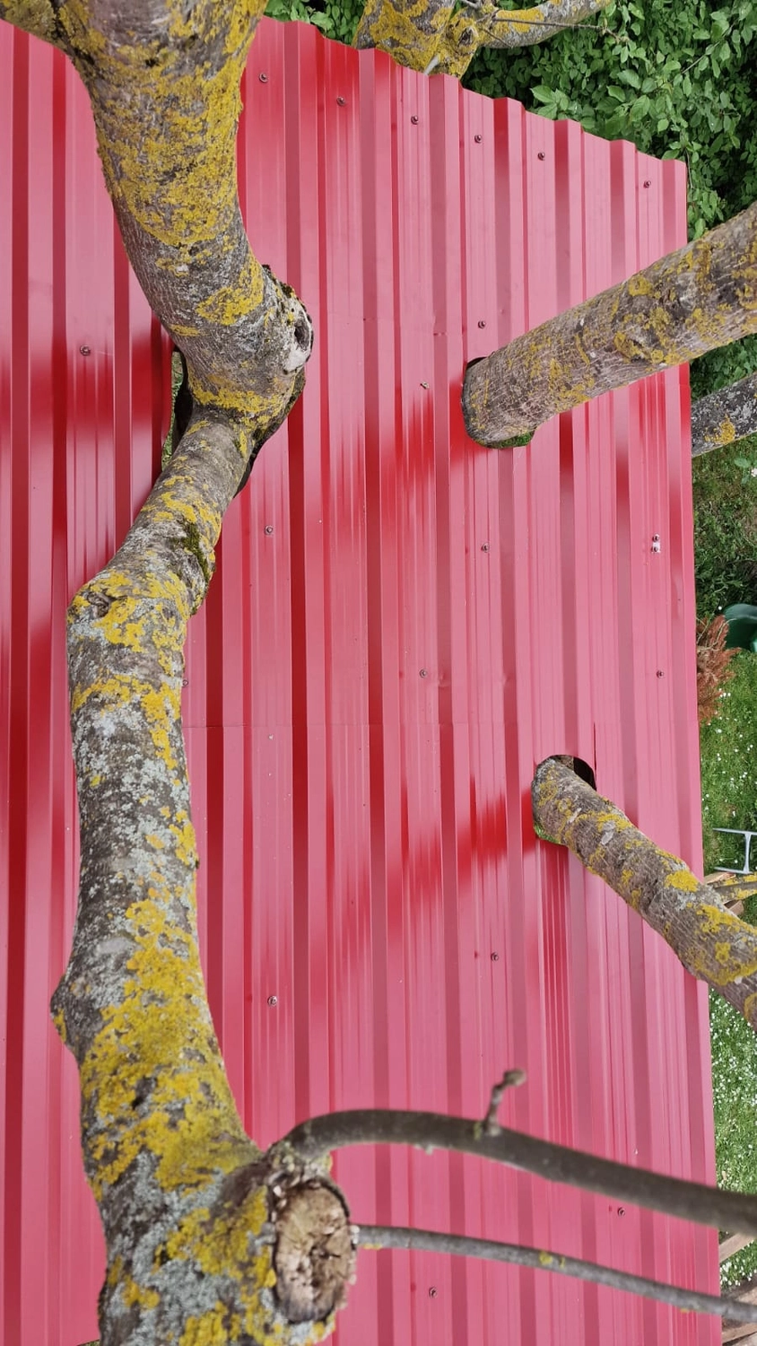 Wetter-Gebäudeschutz, Terrassenbau, Sanierungen, Außenanlagen, Gartengestaltung, Rückbau & Neugestaltung, Zaunbau Lärche, Einbauschrank, Hochbett, Handlauf, Dachsanierung, Baumspielhaus, Sebastian Kirsch, Handwerk